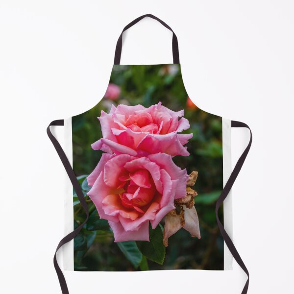 Item preview, Soft Pink Rose Bloom With Delicate Petals in Garden Setting designed and sold by Nmallia.