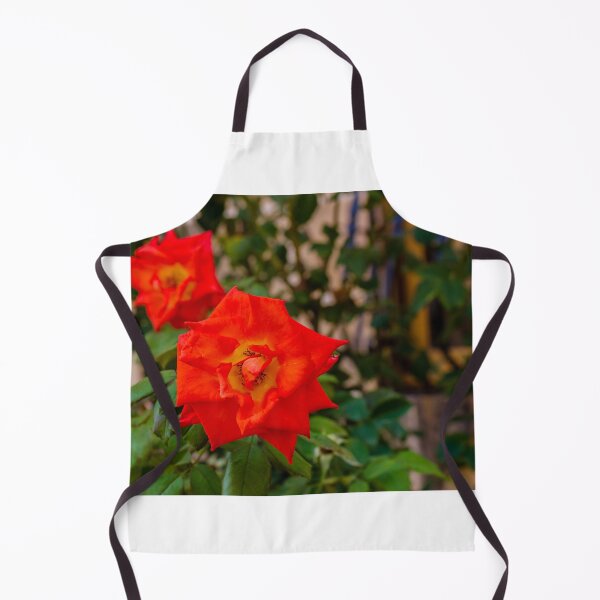 Item preview, Vibrant Red Rose Bloom in Green Garden With Lush Leaves and Soft Background designed and sold by Nmallia.