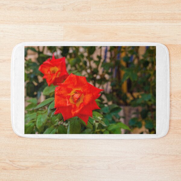 Item preview, Vibrant Red Rose Bloom in Green Garden With Lush Leaves and Soft Background designed and sold by Nmallia.