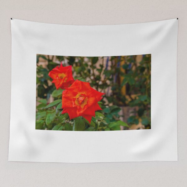 Item preview, Vibrant Red Rose Bloom in Green Garden With Lush Leaves and Soft Background designed and sold by Nmallia.