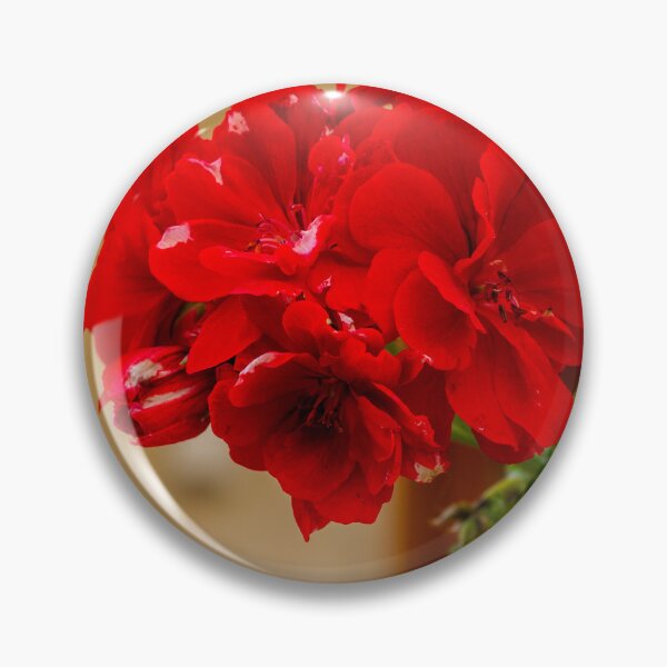Item preview, Vibrant Red Rose Bloom in Green Garden With Lush Leaves and Soft Background designed and sold by Nmallia.