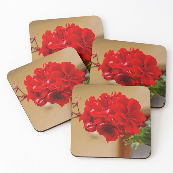 Item preview, Vibrant Red Rose Bloom in Green Garden With Lush Leaves and Soft Background designed and sold by Nmallia.