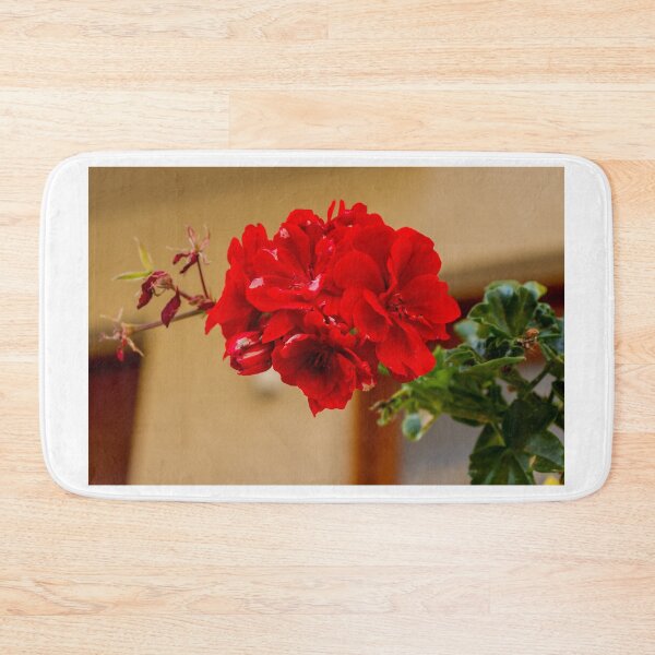 Item preview, Vibrant Red Rose Bloom in Green Garden With Lush Leaves and Soft Background designed and sold by Nmallia.