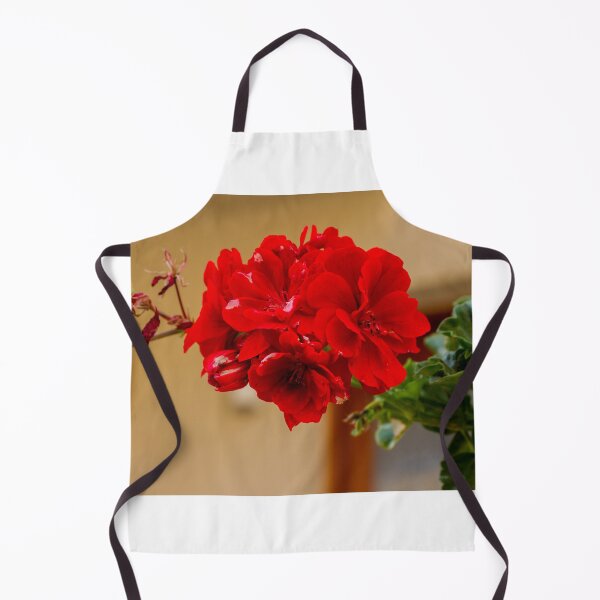 Item preview, Vibrant Red Rose Bloom in Green Garden With Lush Leaves and Soft Background designed and sold by Nmallia.
