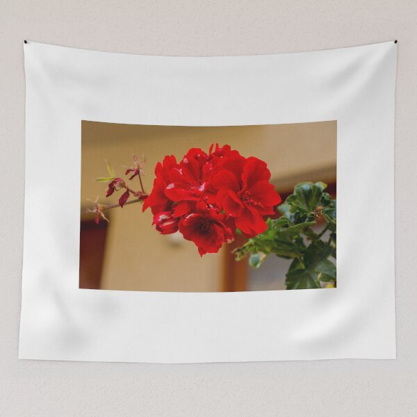 Item preview, Vibrant Red Rose Bloom in Green Garden With Lush Leaves and Soft Background designed and sold by Nmallia.
