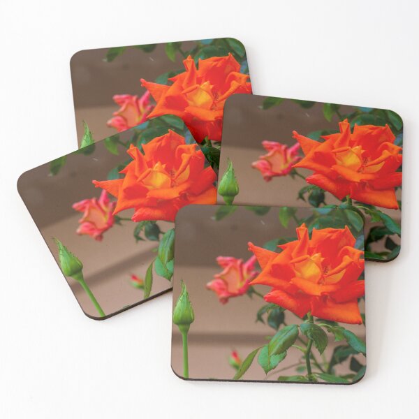 Item preview, Vibrant Red Rose Bloom in Green Garden With Lush Leaves and Soft Background designed and sold by Nmallia.