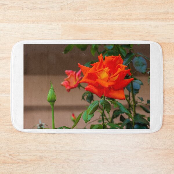 Item preview, Vibrant Red Rose Bloom in Green Garden With Lush Leaves and Soft Background designed and sold by Nmallia.