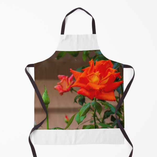 Item preview, Vibrant Red Rose Bloom in Green Garden With Lush Leaves and Soft Background designed and sold by Nmallia.