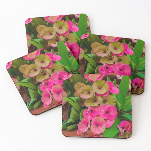 Item preview, Bright Pink Oxalis Flowers in a Pot with Lush Green Leaves and Vibrant Colorful Blooms designed and sold by Nmallia.