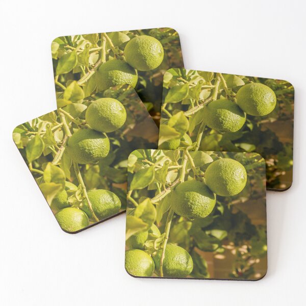 Item preview, Limes Growing On Tree Branch With Green Leaves In Sunlit Garden For Fresh Fruit Theme designed and sold by Nmallia.