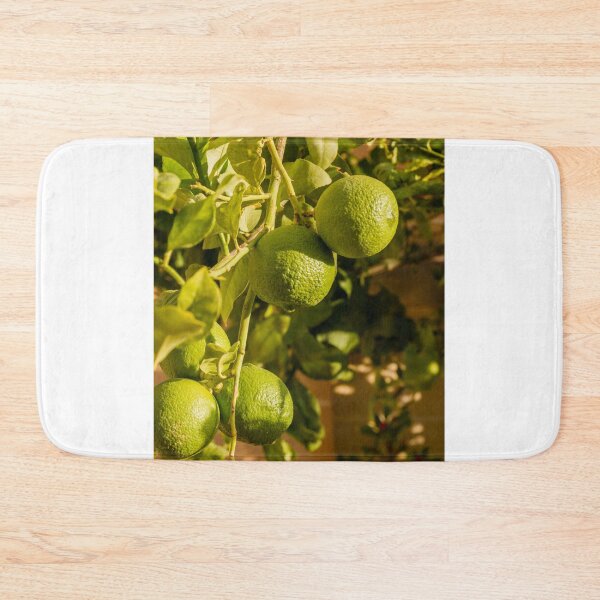 Item preview, Limes Growing On Tree Branch With Green Leaves In Sunlit Garden For Fresh Fruit Theme designed and sold by Nmallia.