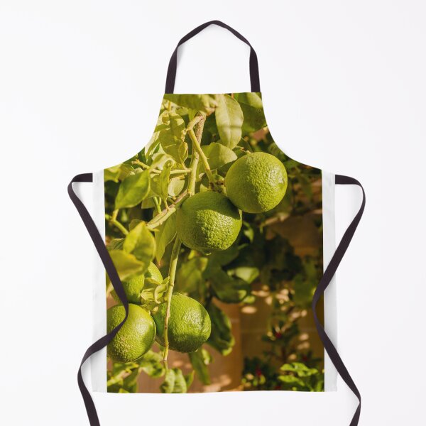 Item preview, Limes Growing On Tree Branch With Green Leaves In Sunlit Garden For Fresh Fruit Theme designed and sold by Nmallia.