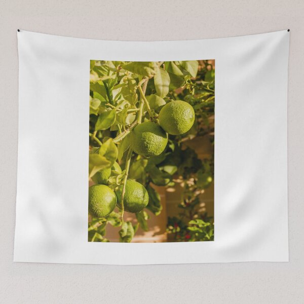 Item preview, Limes Growing On Tree Branch With Green Leaves In Sunlit Garden For Fresh Fruit Theme designed and sold by Nmallia.