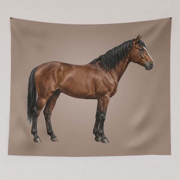 Item preview, The Abyssinian, a horse originating from Ethiopia designed and sold by Cheval-de-coeur.