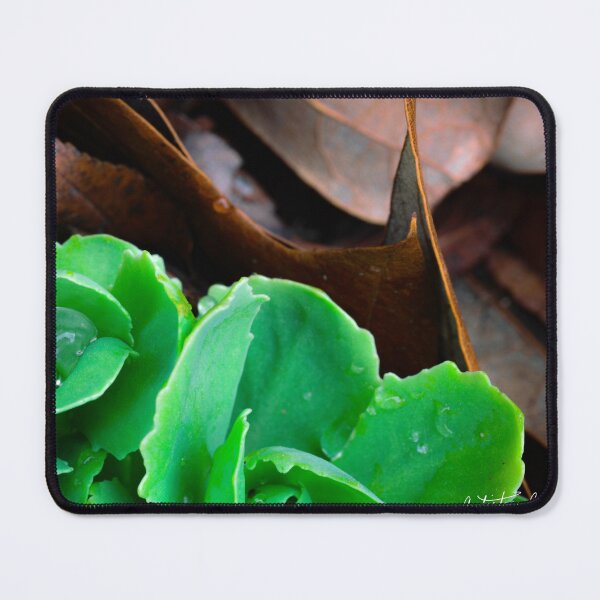 Item preview, Foliage After Rain designed and sold by LifeSaverRed.