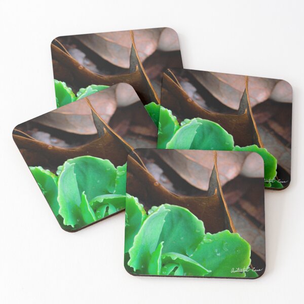 Item preview, Foliage After Rain designed and sold by LifeSaverRed.