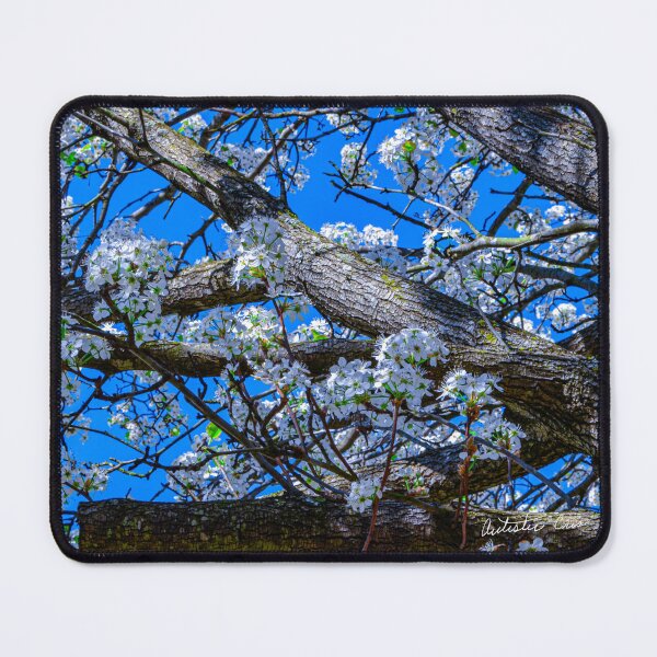 Item preview, Spring Blooms designed and sold by LifeSaverRed.