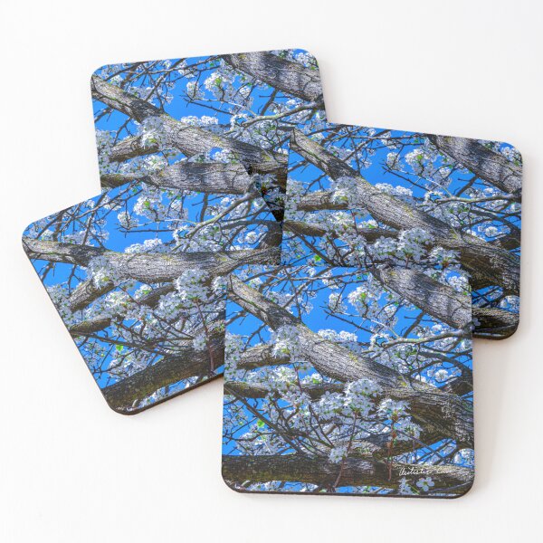 Item preview, Spring Blooms designed and sold by LifeSaverRed.