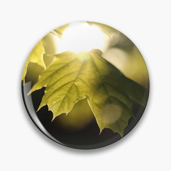 Item preview, Leaf on a Tree Illuminated by the Sun designed and sold by Sabotography.