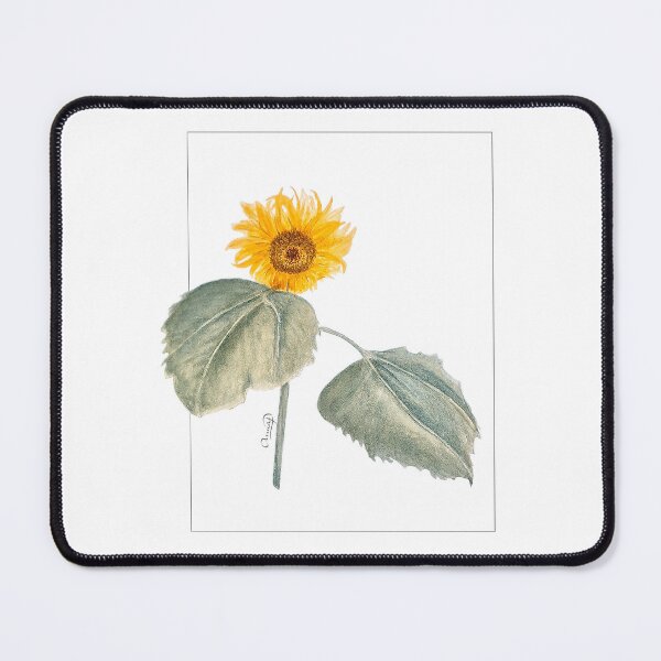 Item preview, Sunflower: A Botanical Study designed and sold by AnnaProninaArt.