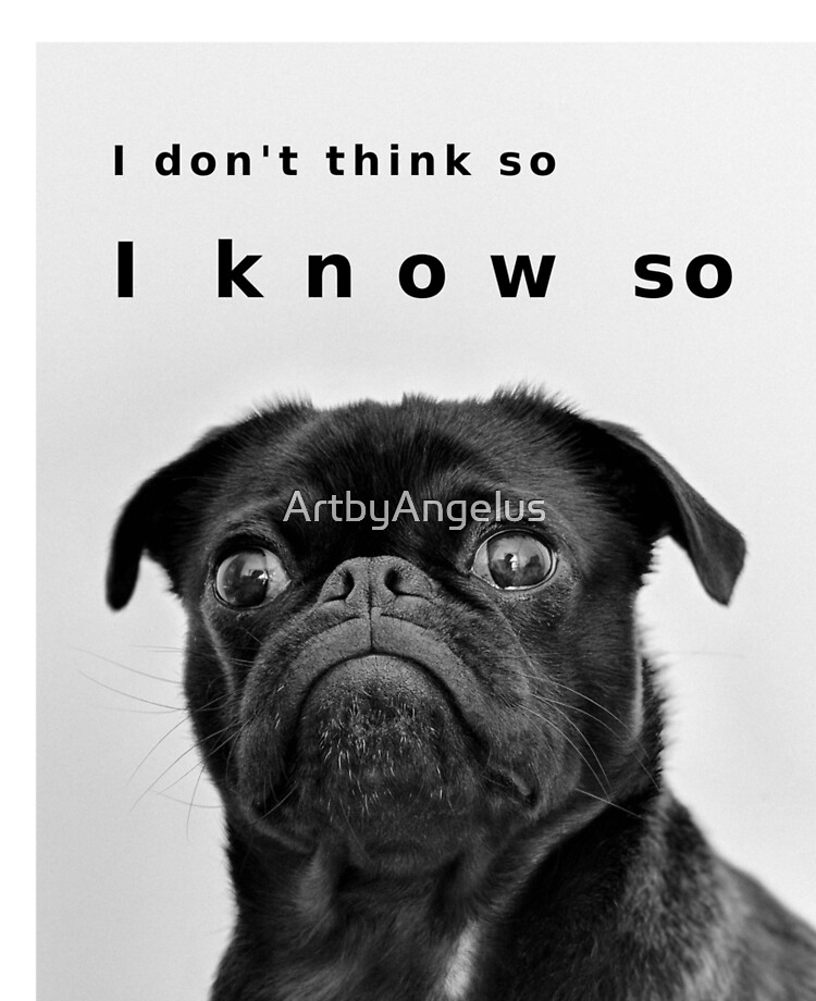 Pug dog, Funny Quote, Pug love, Pug mom, gift for pug mom Pug dog, Funny Quote, Pug love, Pug mom, gift for pug mom