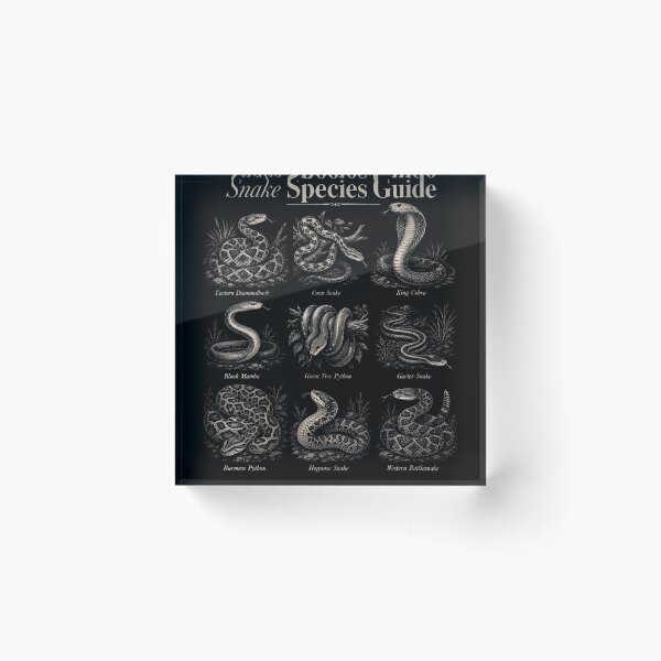 Item preview, Snake Species Guide Vintage Herpetology Chart designed and sold by T9AXER.