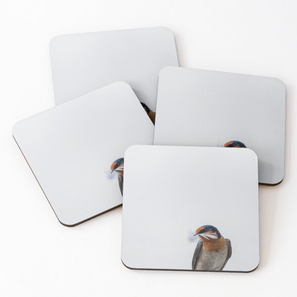 Item preview, Welcome swallow with contrast of white feather  designed and sold by Brian Scantlebury.