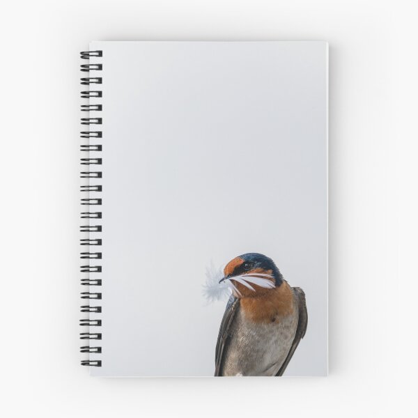 Item preview, Welcome swallow with contrast of white feather  designed and sold by Brian Scantlebury.