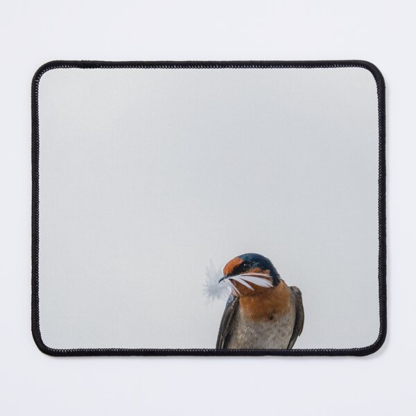 Item preview, Welcome swallow with contrast of white feather designed and sold by Brian Scantlebury.