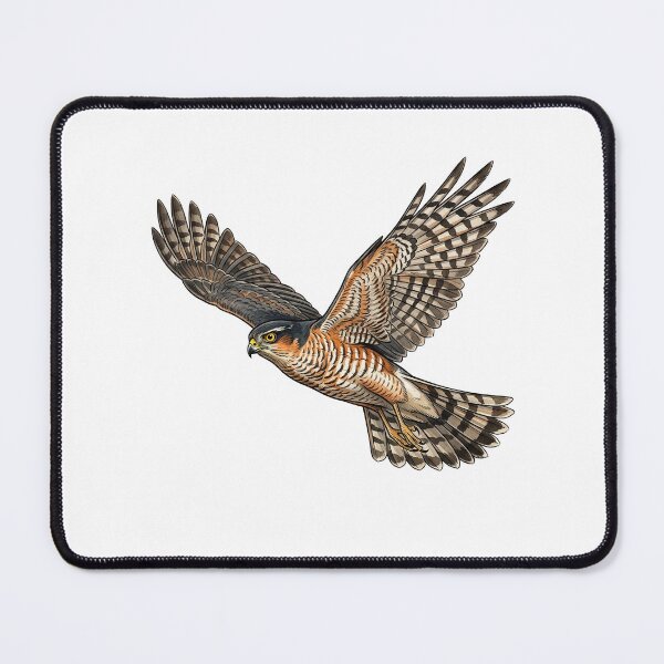 Item preview, Sparrowhawk designed and sold by jamesgerardking.