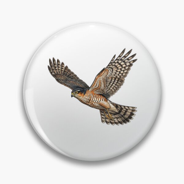 Item preview, Sparrowhawk designed and sold by jamesgerardking.