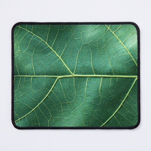 Item preview, Organic Worlds: Intricate Green Leaf Veins — Botanical Macro Texture designed and sold by Atlas-of-Worlds.
