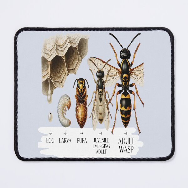 Item preview, vintage, hunter wasps, funny wasp designed and sold by amazouz1.