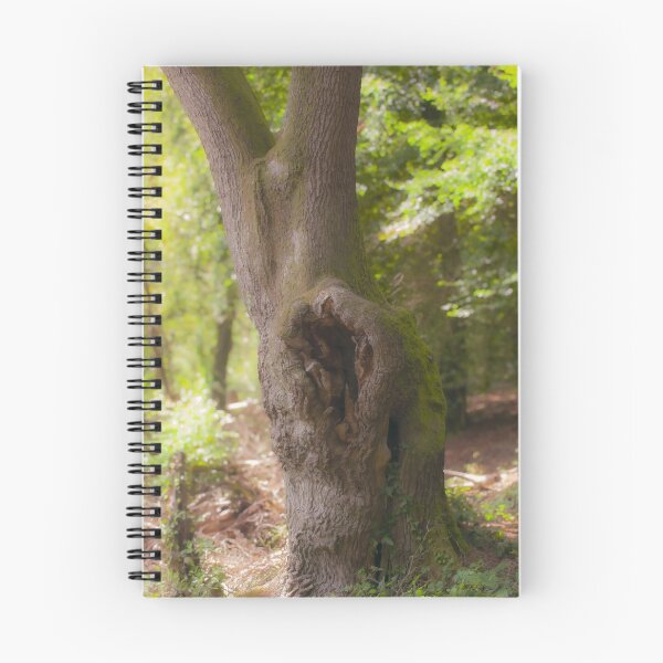 Item preview, Wonders Of the Forest designed and sold by Christine Lake.