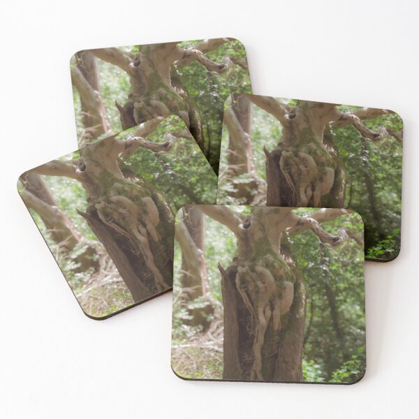 Item preview, Wonders Of The Forest 2 designed and sold by Christine Lake.