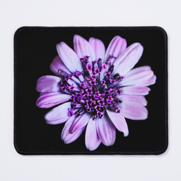 Item preview, Pretty Purple Petals designed and sold by heatherfriedman.