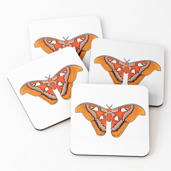Item preview, atlas moth designed and sold by Wyldefire Studios.
