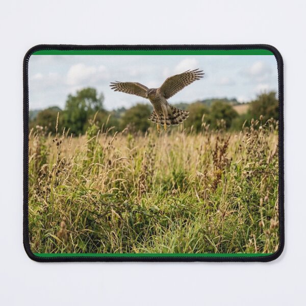 Item preview, hovering sparrowhawk designed and sold by GAWPAWshop.