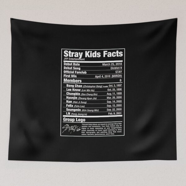 Item preview, Stray Kids designed and sold by Velmoraq.