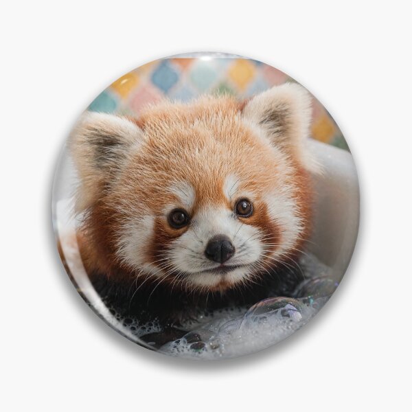 Item preview, Red Panda  designed and sold by Savannah Gibbs.