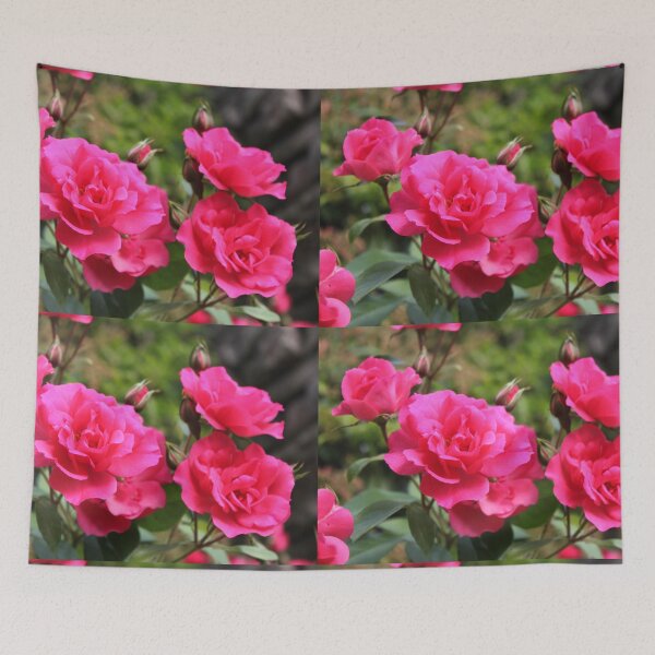 Item preview, Pink  rose flowers designed and sold by naturematters.