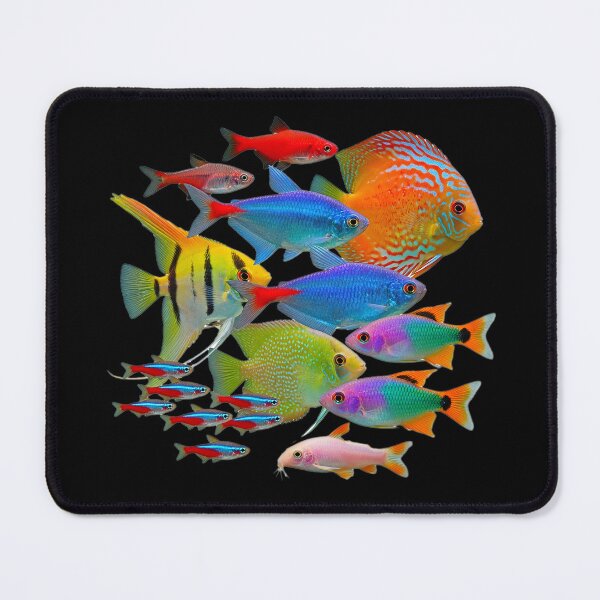 Item preview, Colorful Tropical Aquarium Fish Collection designed and sold by Classic Chaos Creations.