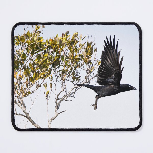 Item preview, Torresian Crow designed and sold by robdanimalphotography.