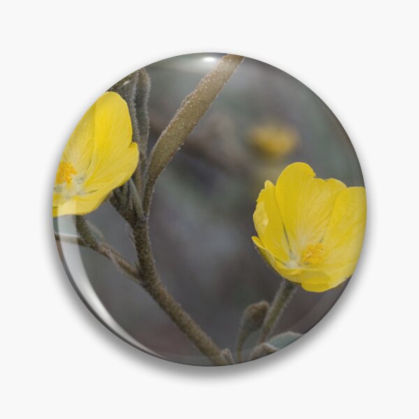 Item preview, Yellow Velvet designed and sold by wendyhattonphotography.