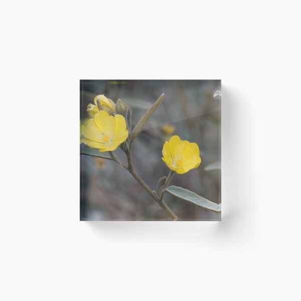 Item preview, Yellow Velvet designed and sold by wendyhattonphotography.