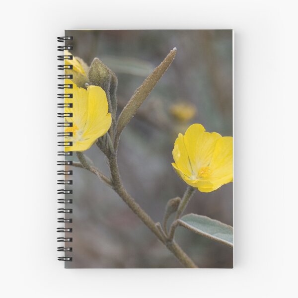 Item preview, Yellow Velvet designed and sold by wendyhattonphotography.