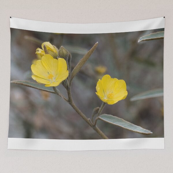 Item preview, Yellow Velvet designed and sold by wendyhattonphotography.