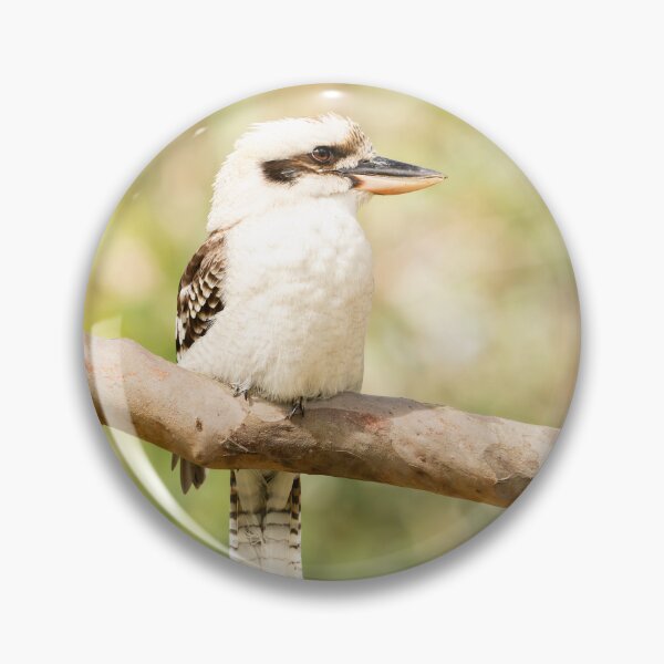 Item preview, Laughing Kookaburra designed and sold by robdanimalphotography.
