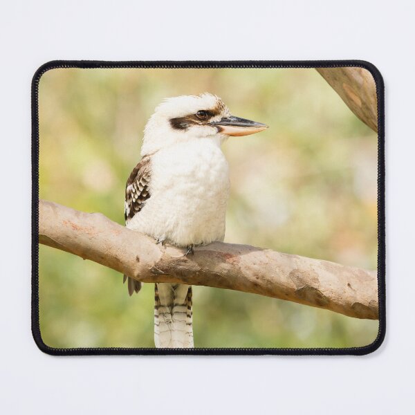 Item preview, Laughing Kookaburra designed and sold by robdanimalphotography.
