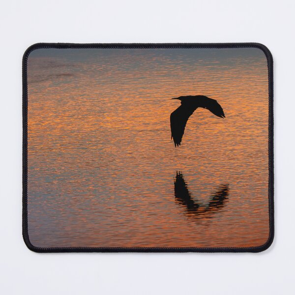 Item preview, White-faced Heron at Sunrise designed and sold by BBoltPhotos.